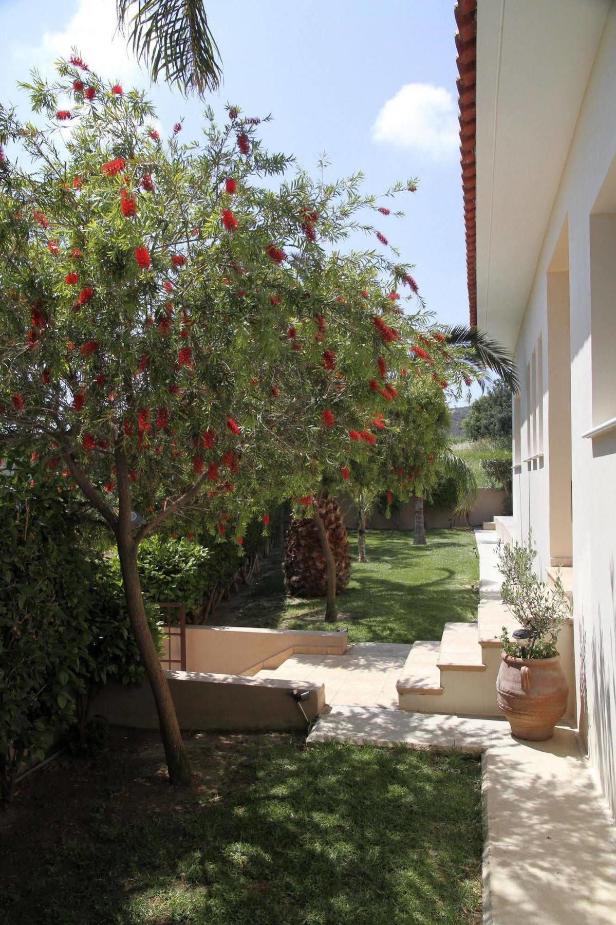Eve Pissouri Xιnisteri Villa Dış mekan fotoğraf
